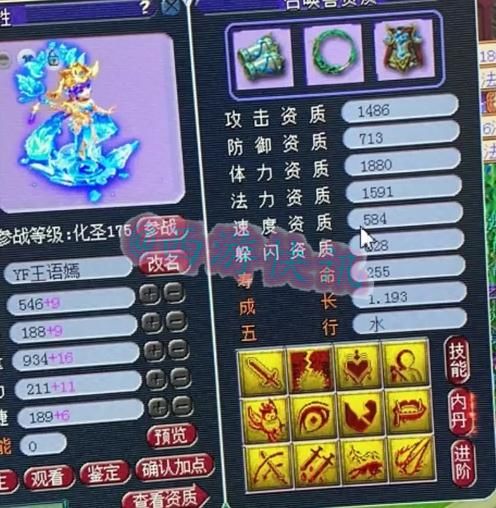 林中鸟|梦幻西游：12技能天女打“林中鸟”兽诀！另一只顶级玩具宠展示！