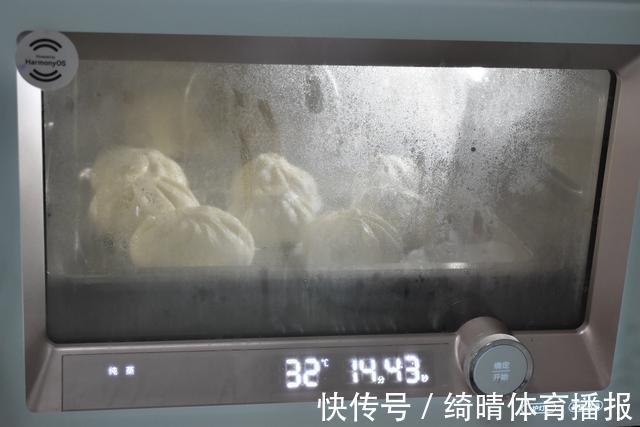 中筋面粉|早餐爱上这包子，蓬松暄软，用这食材做馅鲜美营养好，贵一点也值