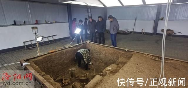 墓葬|洛阳徐阳墓地又有新发现!车马坑发现多具完整马骨