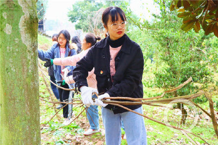 化学化工学院|考研冲刺压力大？走吧，一起去园子里捡树枝