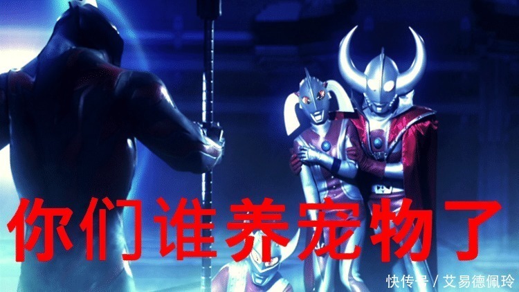 宠物|盘点那些养怪兽的奥特曼,雷欧的宠物会打人,他的宠物有三个!
