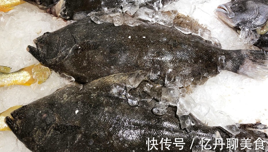 想吃|想吃鱼,就买此6种,目前无法人工养殖,都是野生鱼,放心吃吧