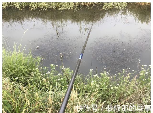 渔获量|入秋的鲫鱼都躲在哪里？在恰当的时间段野钓，渔获量翻一倍