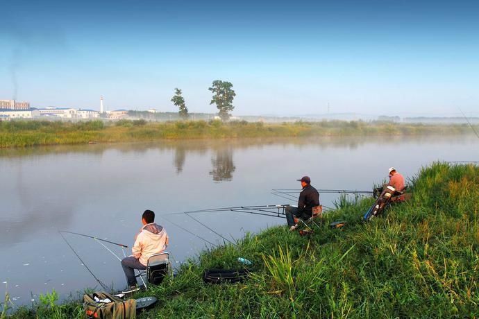 夏天钓草鱼别费劲想饵料了,用这三种水果钓,既简单又高效