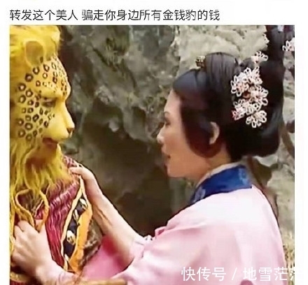 最近的朋友圈,跑进来一只豹子