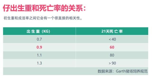 a754|同期分娩技术都会增加产程，可千万别忽视仔猪存活率这个问题