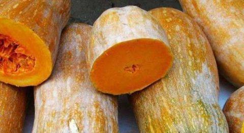 心脑血管|常吃南瓜好处多,与此物同煮,气色红润、排肝毒,皮肤越来越好