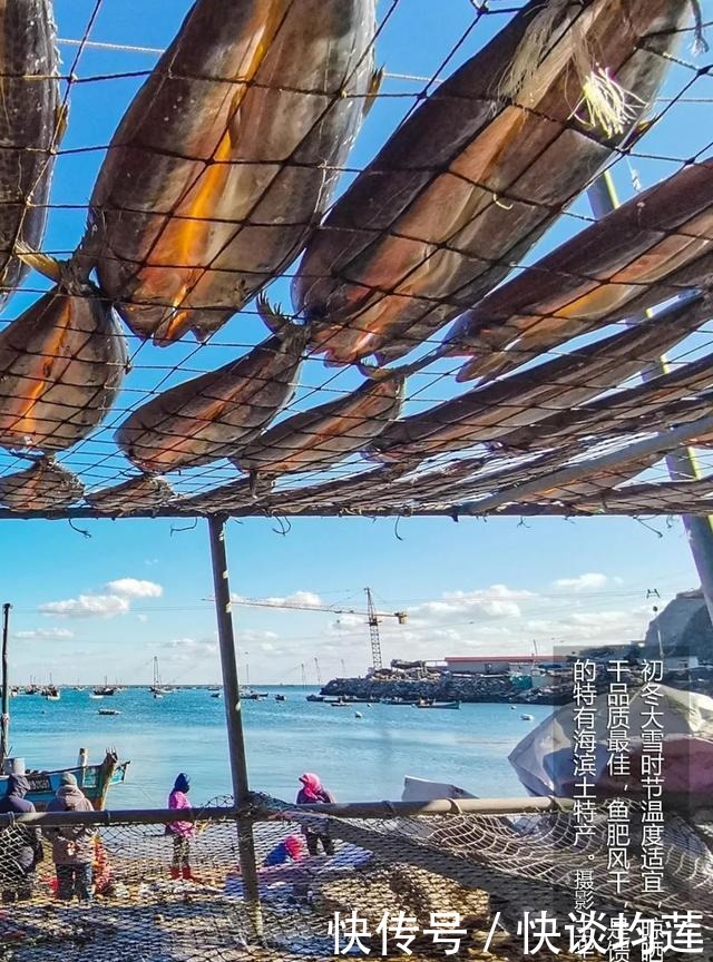 大连|大雪,大连,大生机