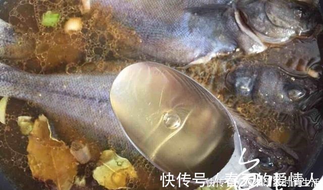 番茄沙司|它是被人误解最多的鱼,浑身上下都是宝贝,9元一斤,却无人问津