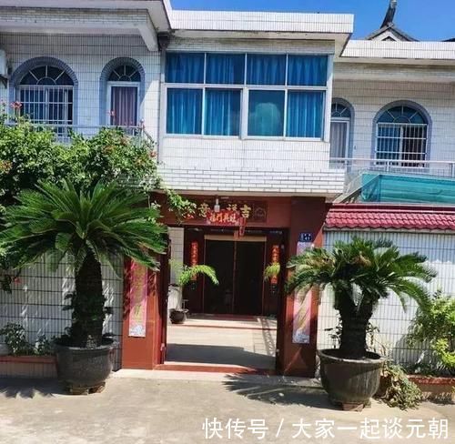 铁树|能养100年的花，养一盆成传家宝，越老越值钱！