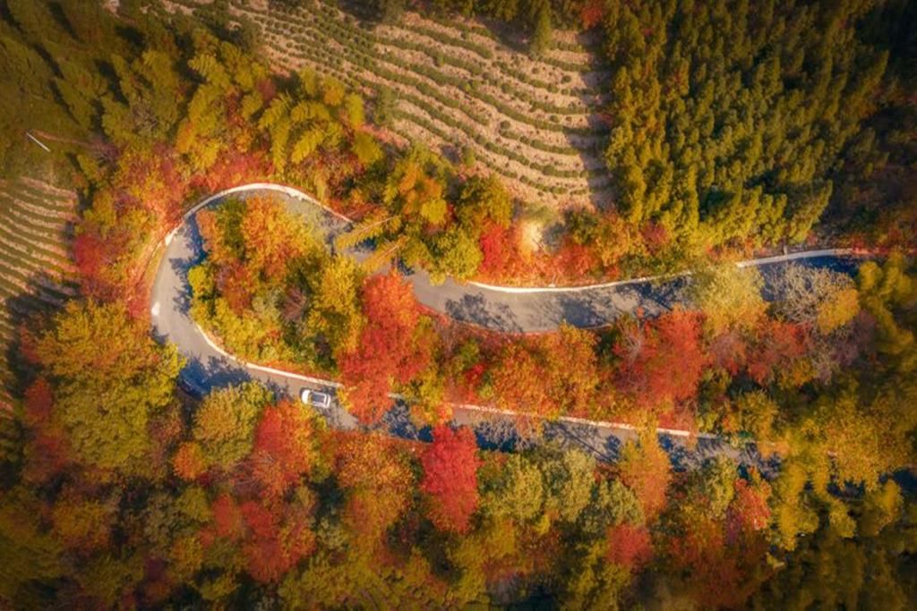  大山|皖南一处不知名的赏秋胜地，隐藏于大山之中，还可体验自驾快感