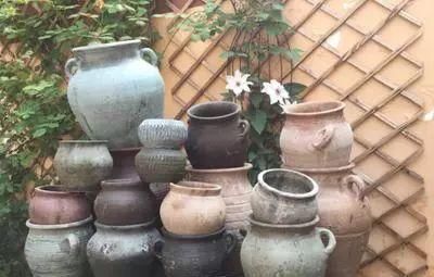 花卉|家里几种没用的东西，用来养花，省钱又实用，乐趣十足！