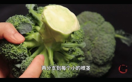 才发现，这几种西兰花最好不要买，知道的人不多，看完提醒家人