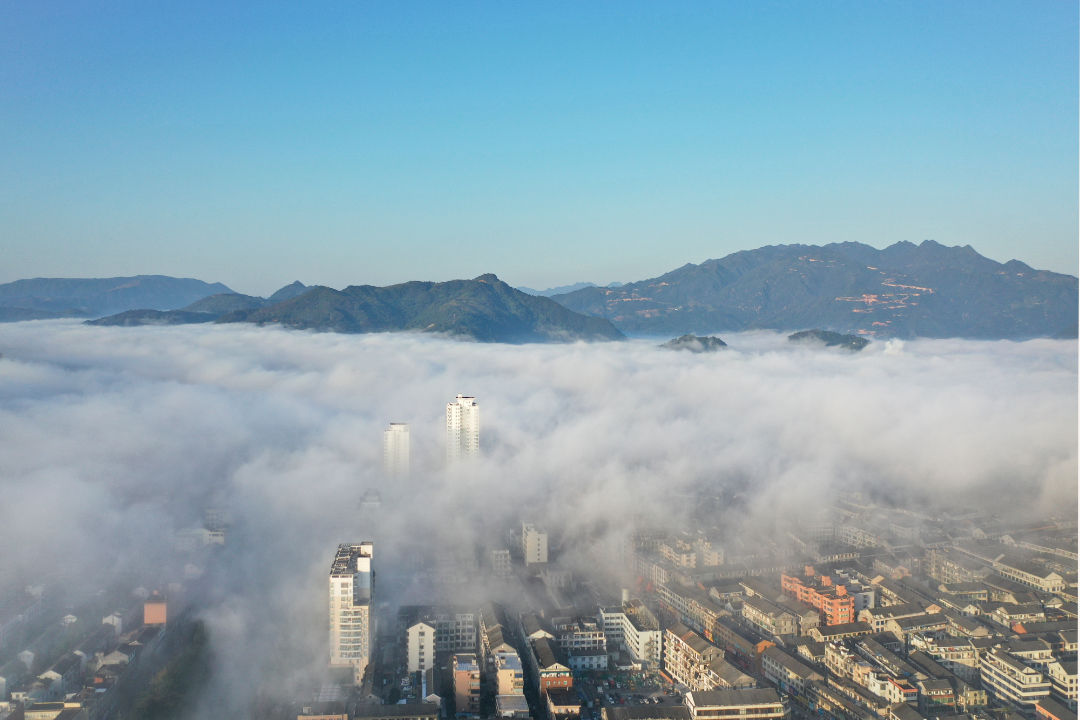 苍南|【风景“浙”独好】苍南灵溪，有雾的早晨，似一方仙境乐土......