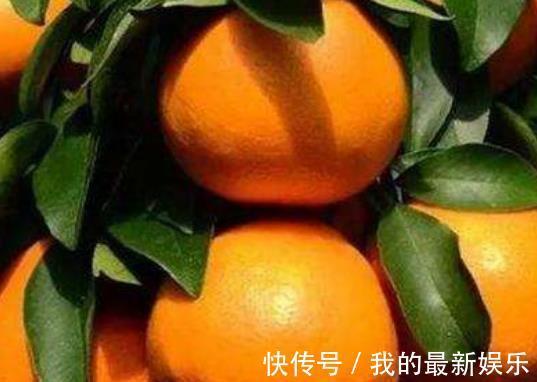 减肥|冬天养生正当时,3种食物要常吃,减肥瘦身,不妨一试