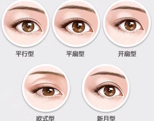 平行款|知道你是哪种“双眼皮”吗？扇形适合化妆，平行款素颜很好看