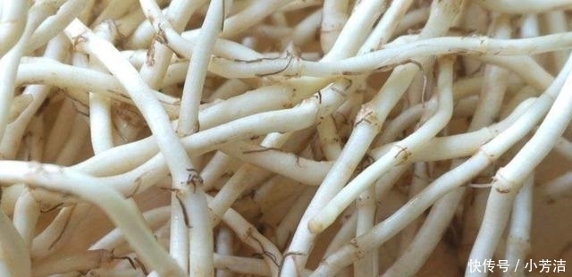 鱼腥草5种最好吃的做法，简单美味又下饭，你爱吃哪种？
