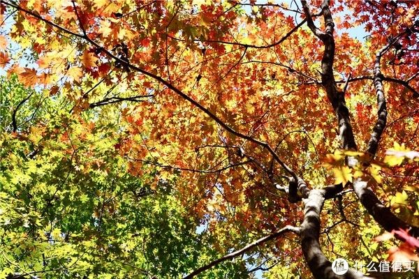 好物篇|我的国货之光 篇三：中国智造！办公生产力工具和休闲好物篇