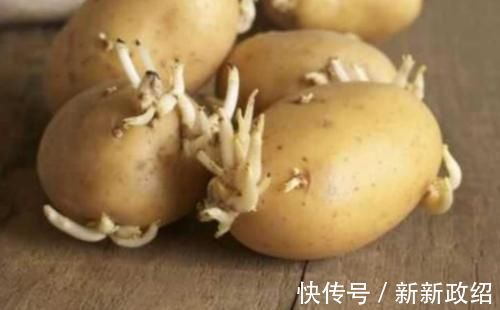 土豆|土豆发芽了没办法吃，但是却有大用处，别傻傻扔掉了