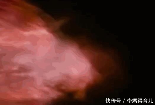 宇航员 第一个登上太空的宇航员,不是加加林,而是一只狗……