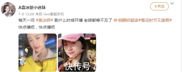 落花时节又逢君|“红凝”再发力，《落花时节又逢君》期待值被拉满