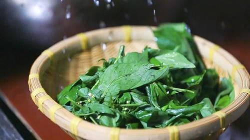 你那有人吃這種野菜嗎？學名龍葵草，土話叫白花菜，你那叫啥？