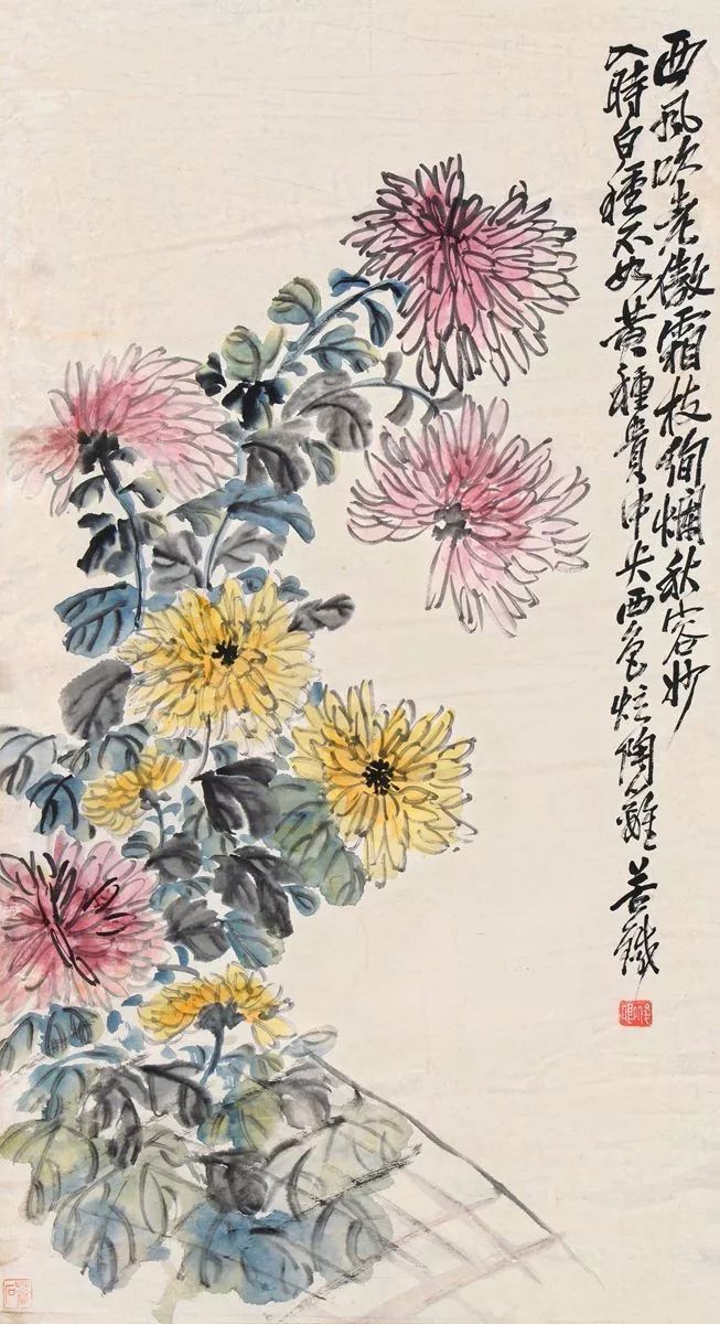 吴昌硕#吴昌硕画菊花，大朴大雅