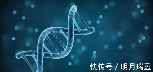 外科医生|新陈代谢如何工作，为什么我们不能加快减肥速度呢