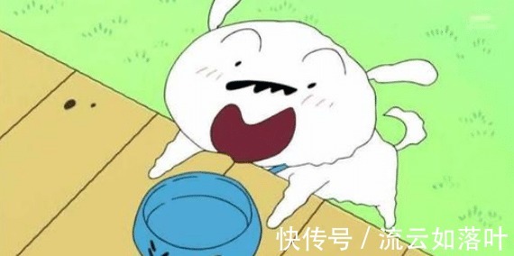 遗憾|《蜡笔小新》中也有遗憾,小白想要成人,最终无法实现