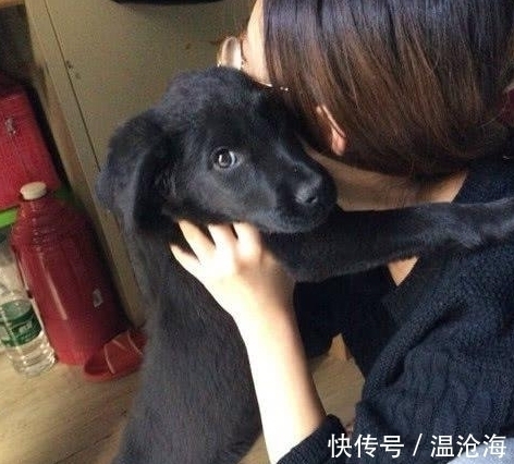 |搞笑图片幽默段子笑话:你是如何保持身材的,你这饭量也太大了