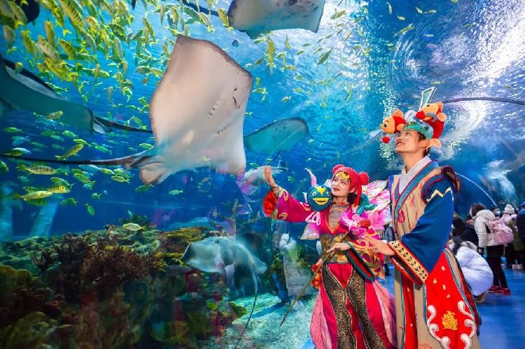 租车|?本地预订门票订单量增长超300% 春节租车日量增长达到43%，花费超过1700元