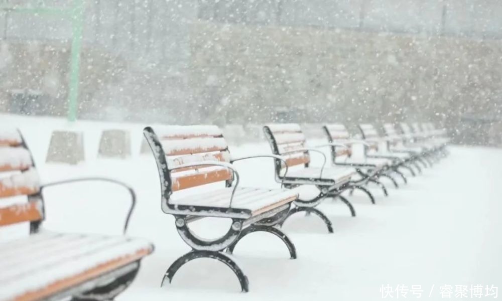 漫天寒凝洗尘襟，大外与你共风雪