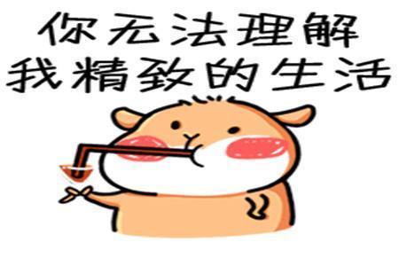 |幽默笑话:姐夫开车差点撞到一阿姨,没想到阿姨送了他一包生蚝