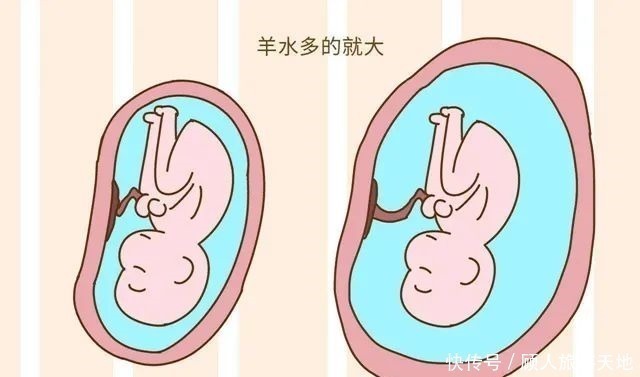 胎儿|四维彩超单上的三个数据,暗示胎儿发育好不好,孕妈学会看更省心