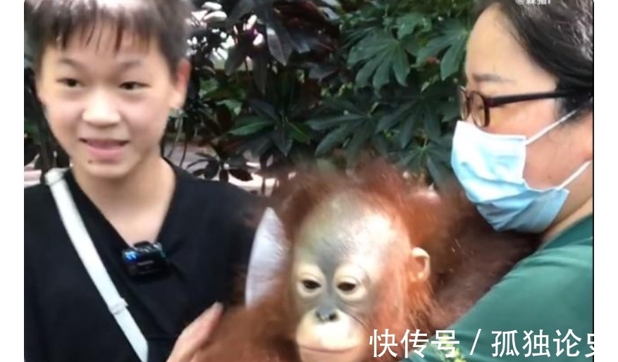 全运会|梦想成真!陈艾森带着全红婵去动物园游玩,与红猩猩合影太可爱