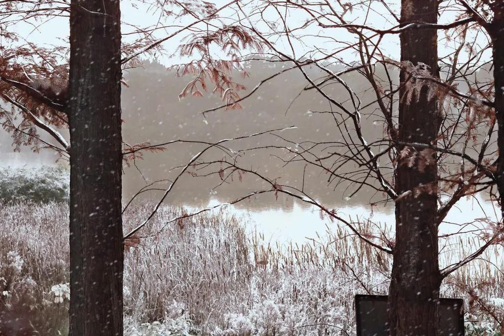 下雪|如果，雪落川大！