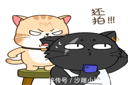 |幽默笑话:大哥交了个富婆女友,他立马买了一套精装修的新房子。