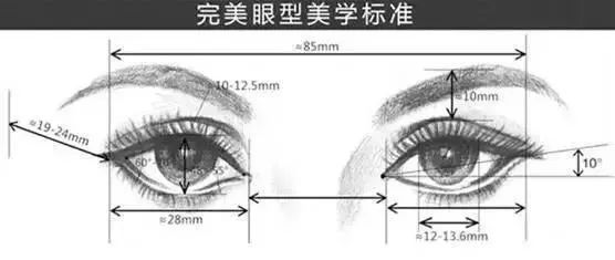 标准|东方美学的【标准眼型】，你想拥有吗？