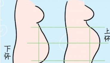 胎儿|为什么有的孕妇是上怀,有的孕妇是下怀3个原因,准妈妈要知道