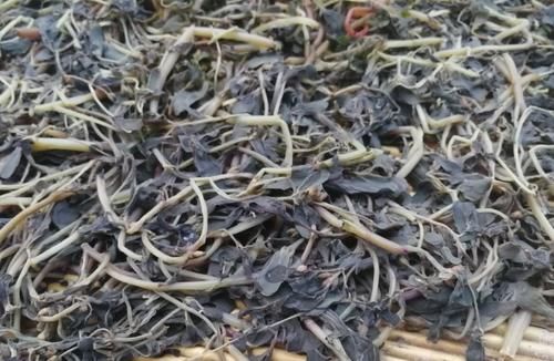 春天捡点野菜马齿觅，晒晒制成花肥吧，养花效果一级棒！