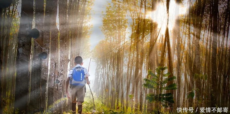 看了10遍《傅雷家书》,我总结出18条教育的铁律