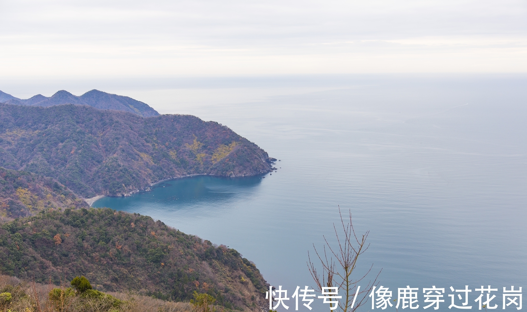 左思$这是一首描写童年乐趣的诗,您有过这样的童年吗