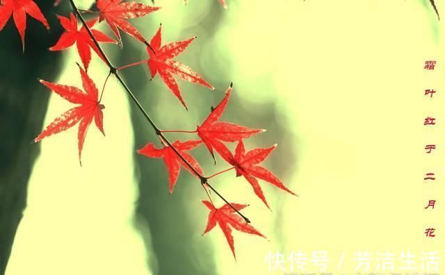 帘幕#苏轼看秋日清晨美景,写下一首词很有哲理,下片12字却故作旷达