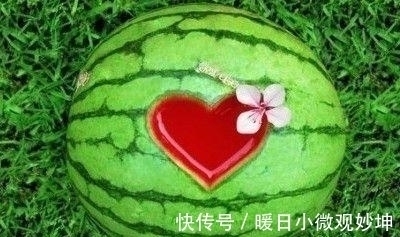 下联#少女出一上联:“洗青菜,去黄叶,不要先生”,下联千古绝对