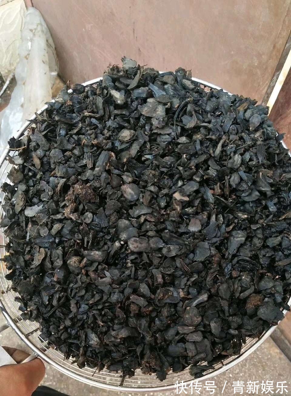 出门捡4种东西,养花垫盆底,营养土不用买,疏松透气、不烂根