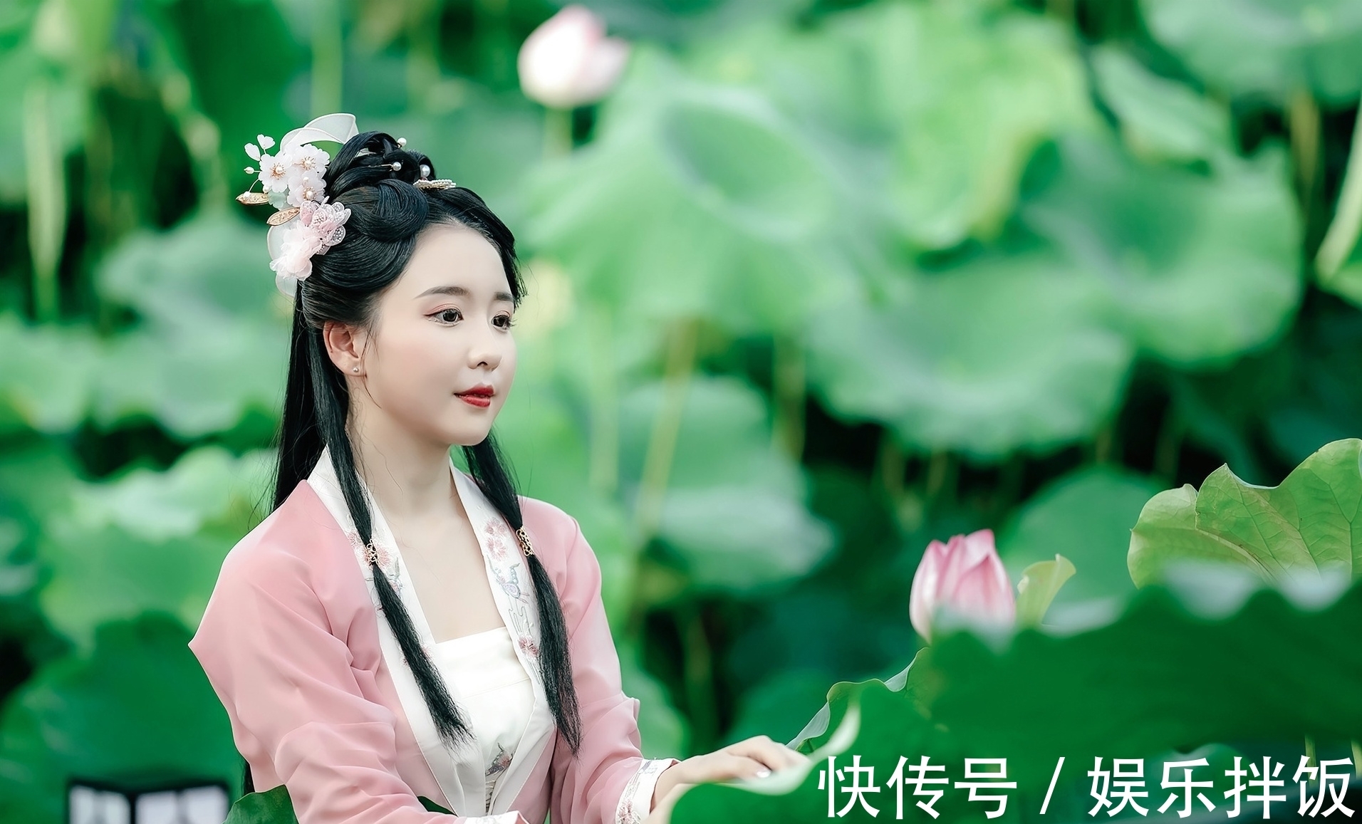 绝句|感怀·绝句与格律(十一首):只恐晚风摇寝帐,不堪夜雨浸芭蕉