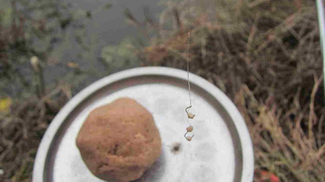 轻口鱼如何钓先这样调整鱼饵和浮漂,轻口鱼也能让你拉到手酸