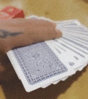 |搞笑GIF趣图当我拿到这一副牌，我顿时就知道怎么玩了！