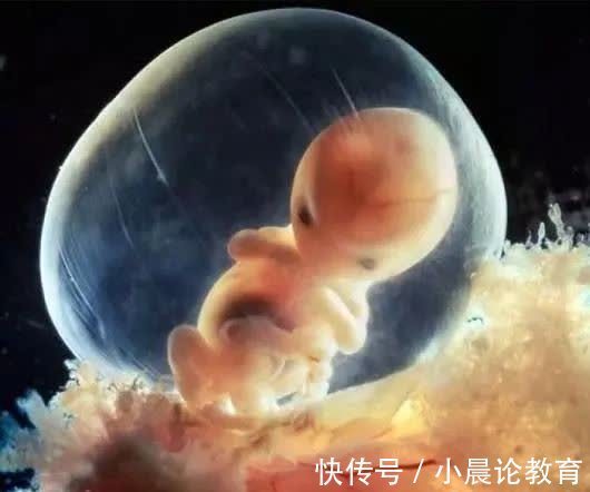 孕妈|怀孕后“戒掉”这四个习惯,羊水会清澈又充足,孕妈要牢记