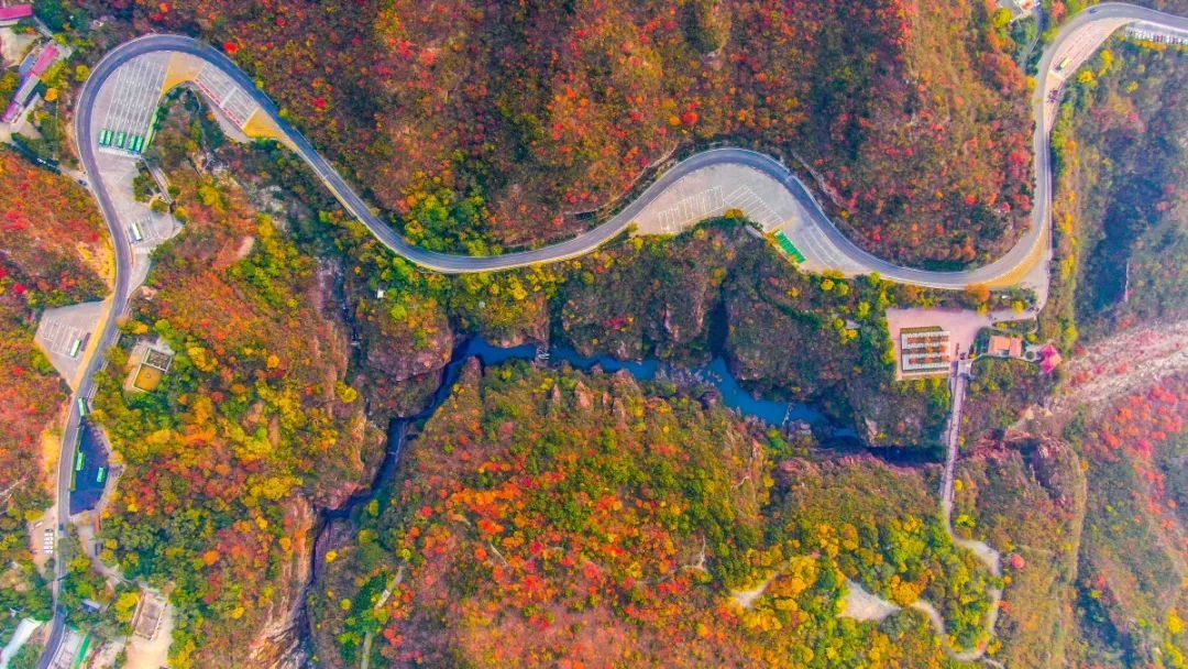 游客|好消息！明天开始，云台山景区请全国游客免票玩一个月